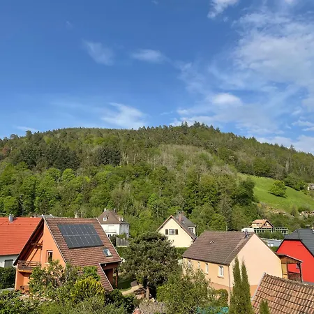 Lejlighed Gite Avec Jacuzzi Pour 14 Personnes, Lacs, Vignobles Proche Kaysersberg *