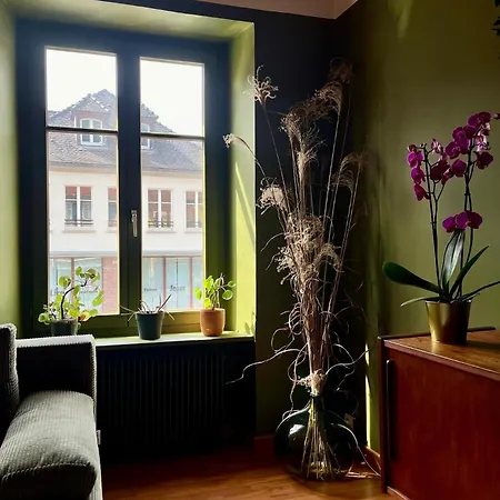 Lejlighed Gite Avec Jacuzzi Pour 14 Personnes, Lacs, Vignobles Proche Kaysersberg