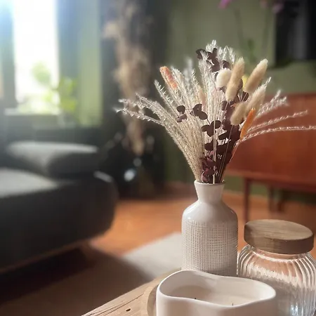 Apartament Maison Maneki Prestige Pour 14 Personnes Avec Et Sauna Lapoutroie