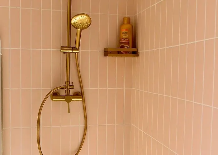 Maison Maneki Prestige Pour 14 Personnes Avec Et Sauna Appartement