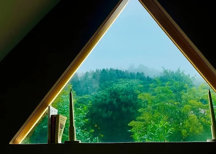 Appartement Maison Maneki Prestige Pour 14 Personnes Avec Et Sauna Lapoutroie